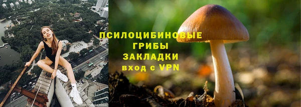 ешки Дмитров