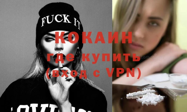 индика Ельня
